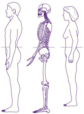 To define the level at which to measure waist circumference first locate and mark a bony landmark The subject stands and the examiner positioned to the subjects right palpates the upper hip bone
