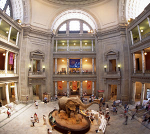 The National Museum of Natural History