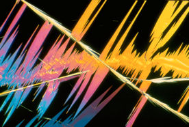 Photomicrograph of salicylic acid crystal