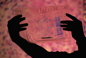 A research scientist studies a DNA map of the hepatitis C virus at the National Institutes of Health in Bethesda Md Photo by Richard T Nowitz slash Photo Researchers Inc