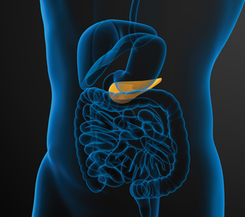 Researchers and manufacturers are coming closer to developing an artificial pancreas But these devices will not replace proper physician care which is the source of success Photo by iStock