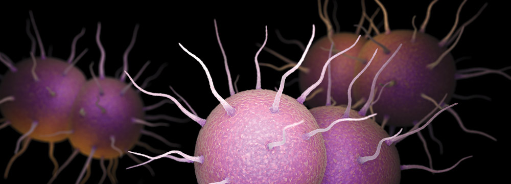 Since 2013 cases of chlamydia gonorrhea pictured above and syphilis have all risen sharply in the US In fact cases of these sexually transmitted infections reached an all-time high in 2018 ap