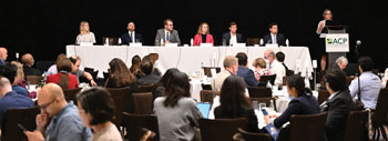 Shari M Erickson MPH at podium introduces a panel of congressional staff to attendees at Leadership Day on May 17 in Washington DC Image by Greg Fiume DC Event Photo